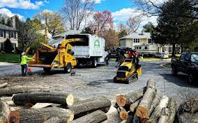 Mulching Services in Diamond Bar, CA